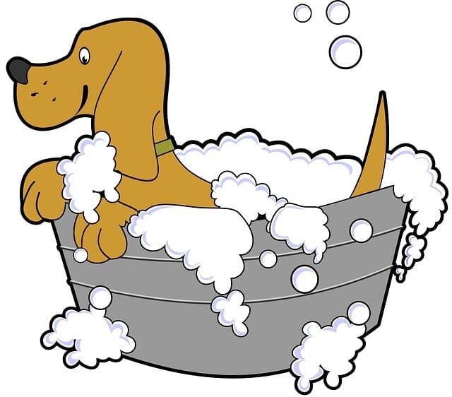 dog in bathtub - How to start a dog grooming business from home